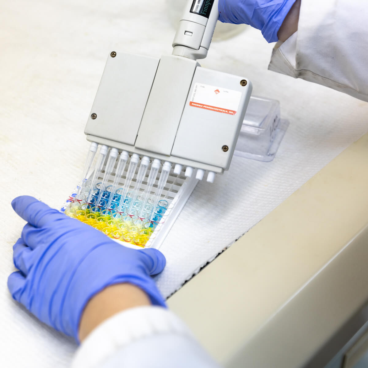Scientist pipetting samples into a colorimetric assay plate